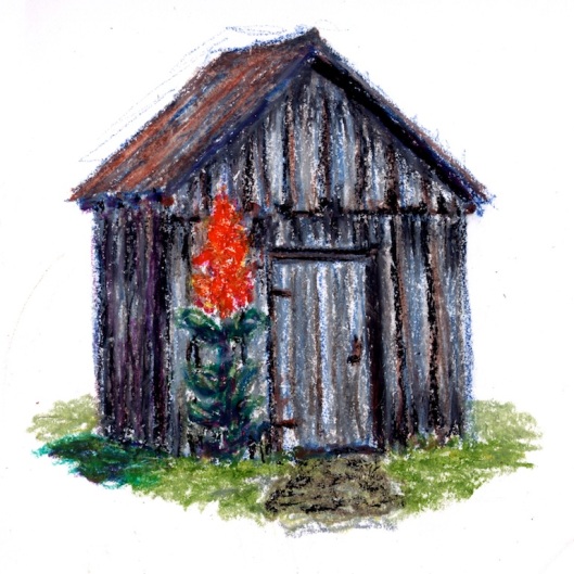Little Shed in OIl Pastels